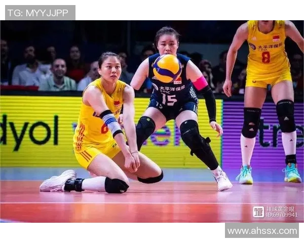 南京排球队运营策略深度分析与发展前景探讨