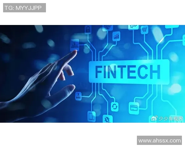 南京滑板队运营分析:成功经验与挑战反思的深度探讨