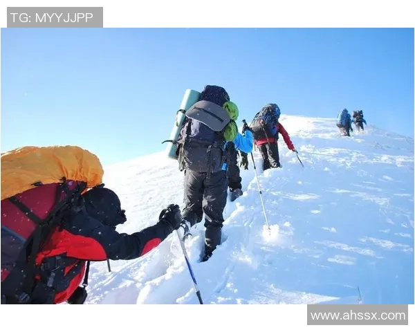南京极限运动队攀岩联赛转型之路探索与挑战的精彩旅程