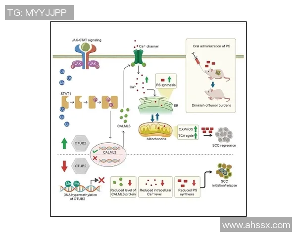 数据分析揭示WE团队协作表现的优势与改进空间
